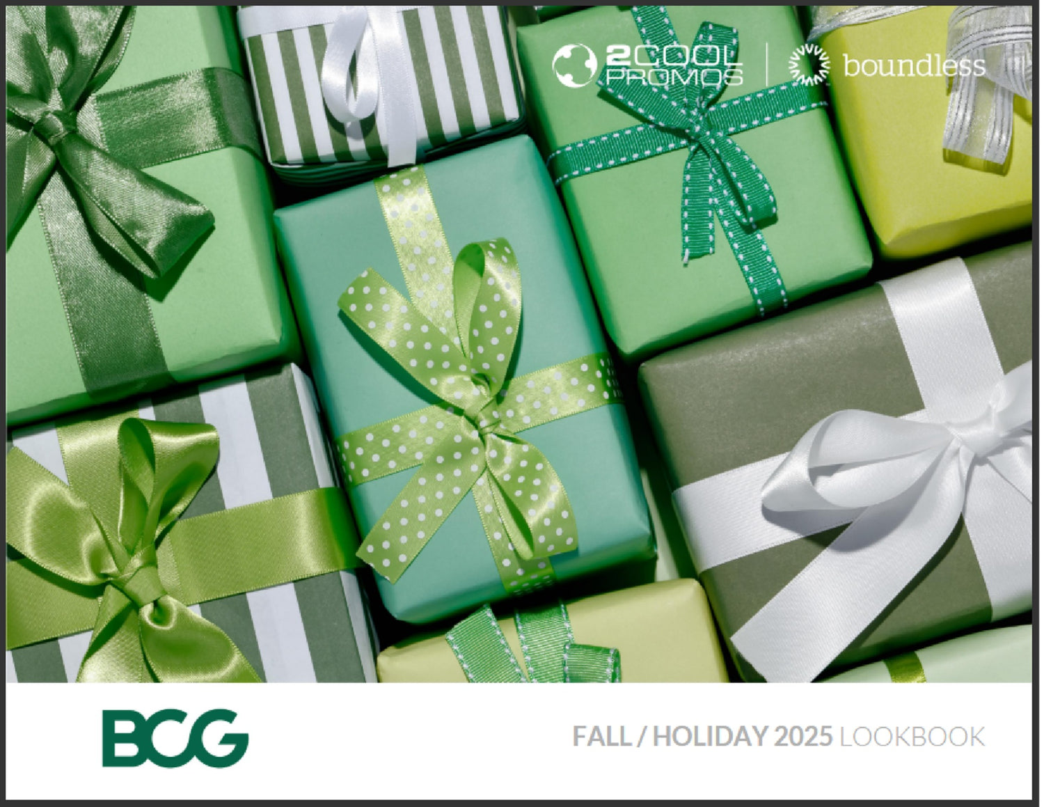 BCG Shop